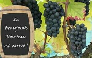 Festif / Soirée Beaujolais