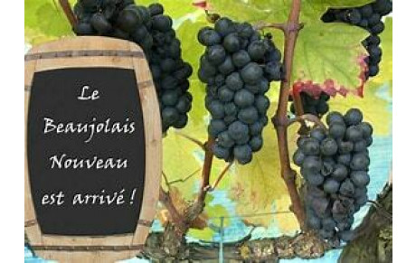 Festif / Soirée Beaujolais